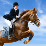 Regent Insurance for Horse and Rider